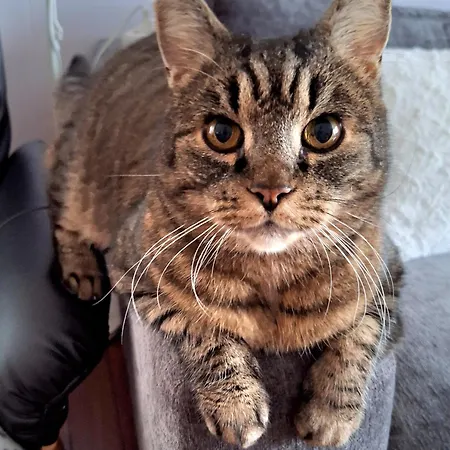 Gjesterom Til Leie I Et Privat Hus Séjour chez l'habitant *