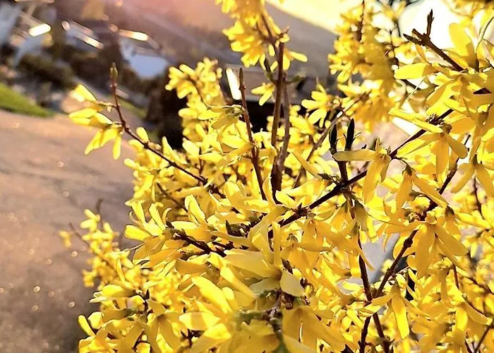 Kwatera prywatna Gjesterom Til Leie I Et Privat Hus Brumunddal