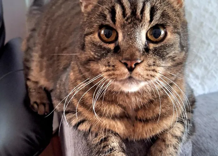 Gjesterom Til Leie I Et Privat Hus Kwatera prywatna *